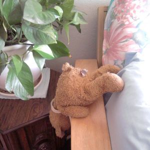 Meet your Posher, Chris